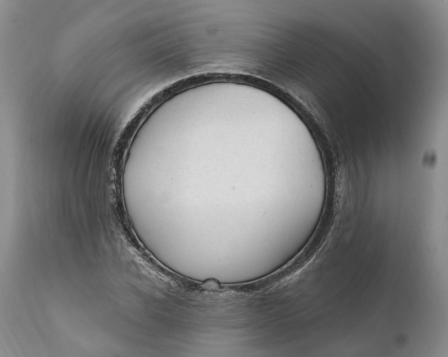 X0000111040926200907091606