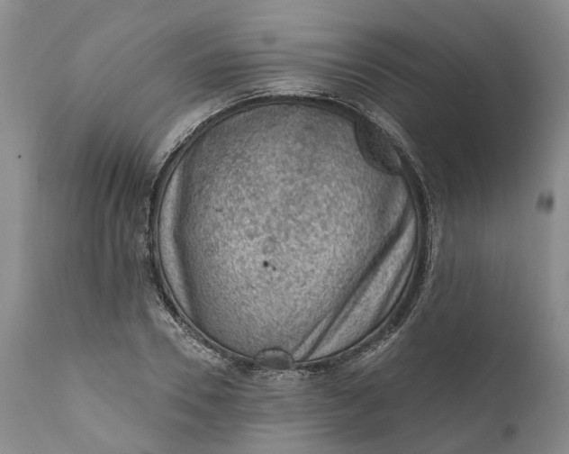 X0000111040930200907091606