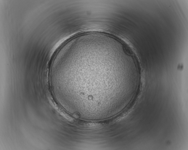 X0000111040933200907091606