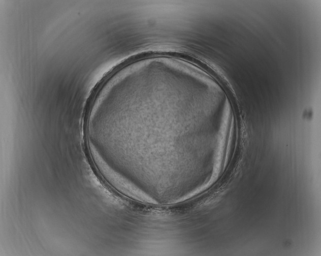 X0000111040935200907091606