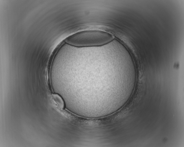 X0000111040936200907091606