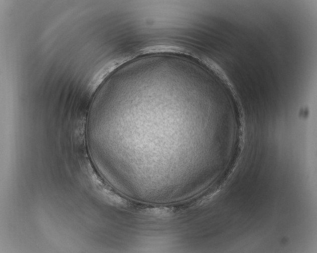 X0000111040937200907091606