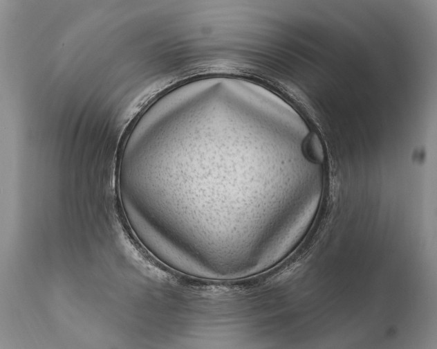 X0000111040938200907091606