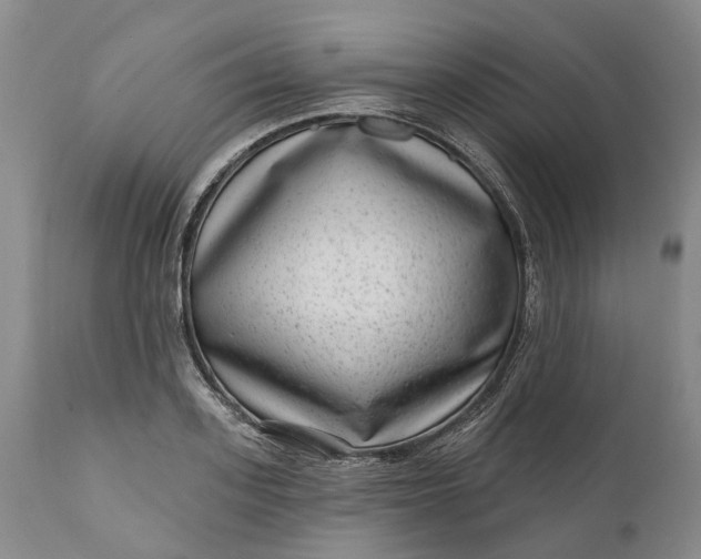 X0000111040939200907091606