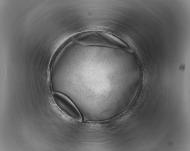 X0000111040940200907091606