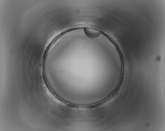 X0000111040941200907091606