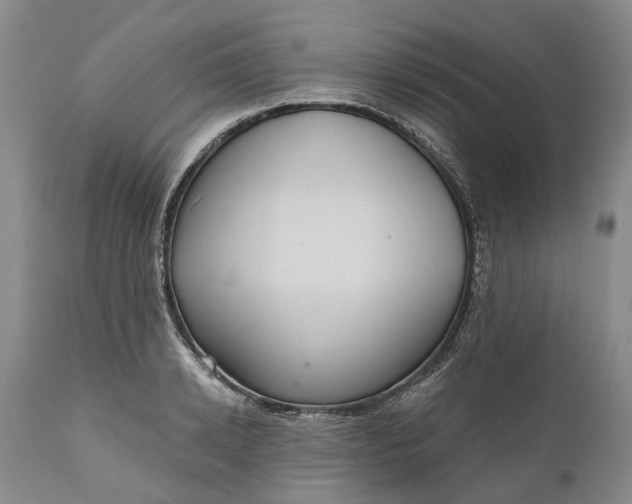 X0000111040942200907091606