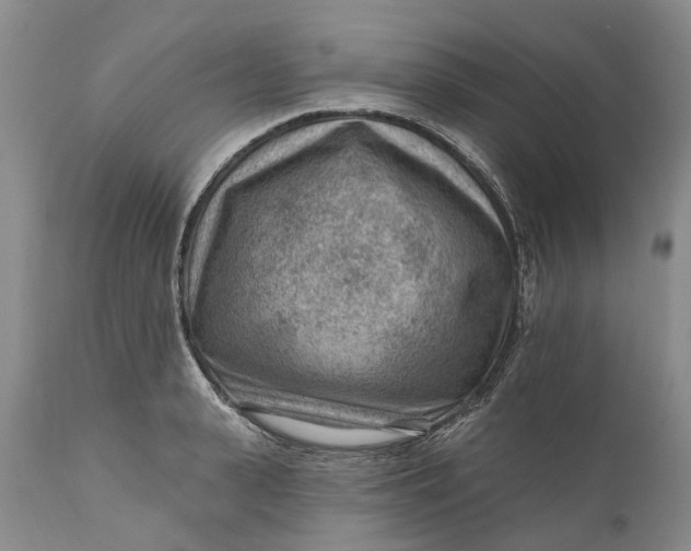 X0000111040943200907091606