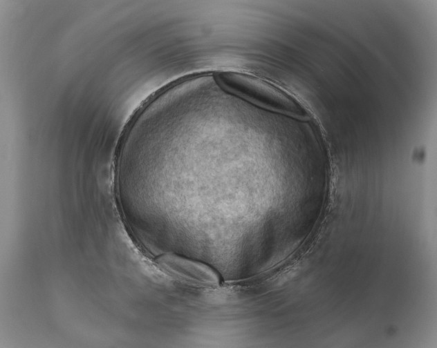 X0000111040944200907091606