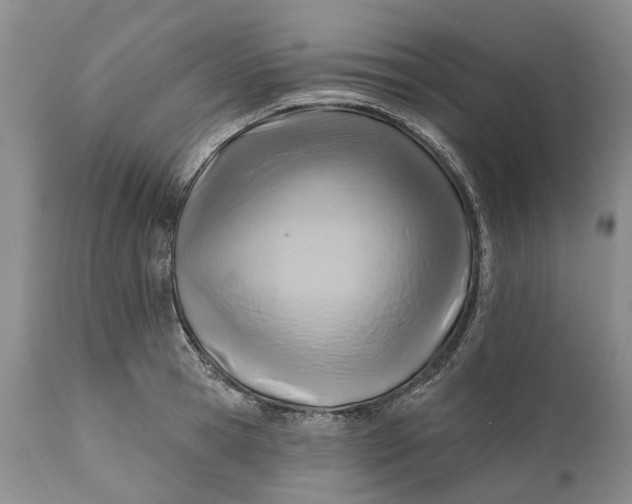 X0000111040945200907091606