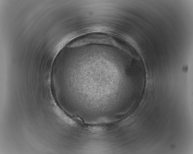 X0000111040946200907091606