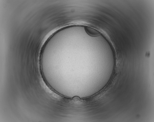 X0000111040947200907091606