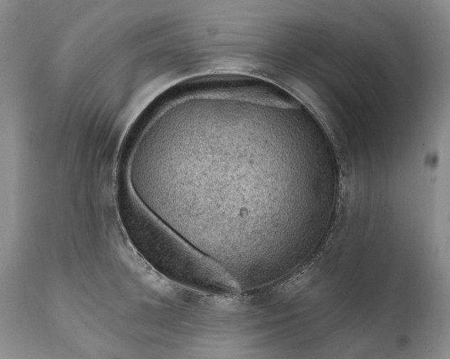 X0000111040948200907091606