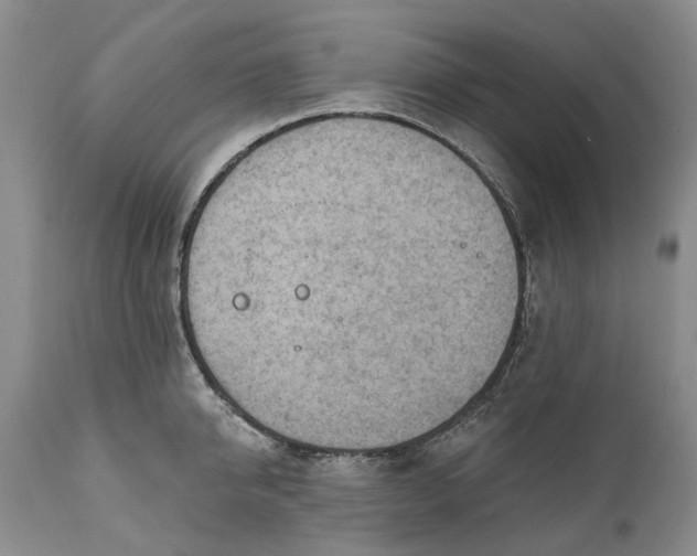 X0000111040950200907091606