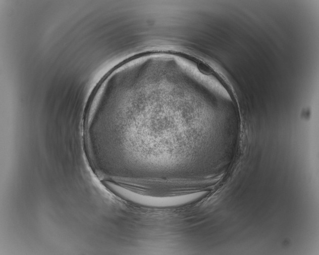 X0000111040951200907091606