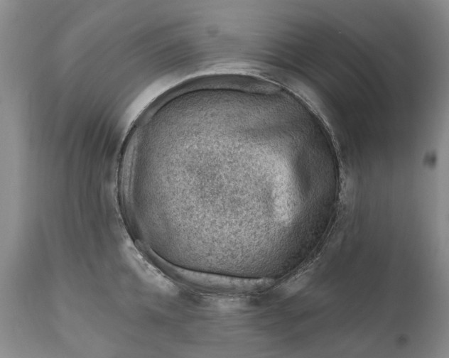 X0000111040952200907091606