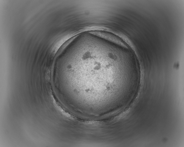 X0000111040953200907091606