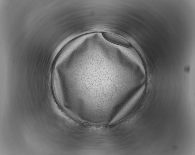 X0000111040955200907091606