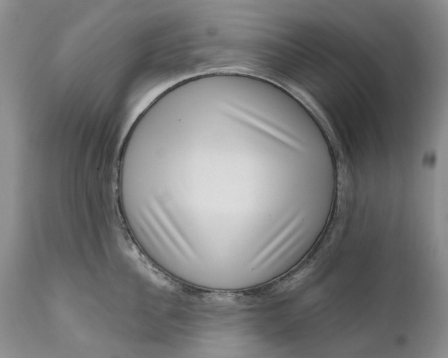 X0000111040956200907091606