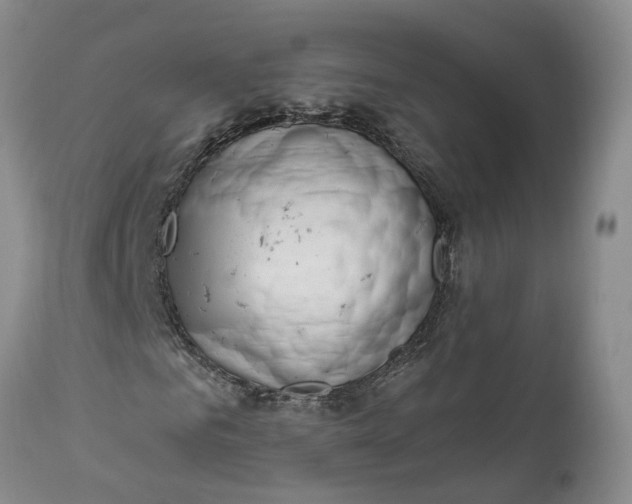 X0000111040961200907091605