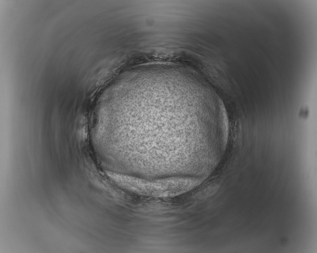 X0000111040962200907091605