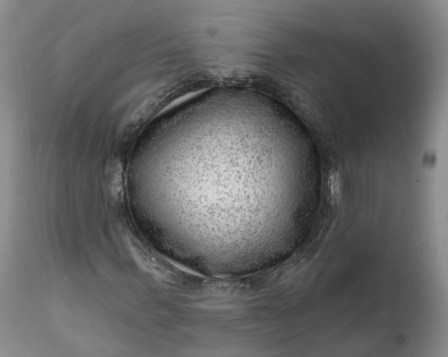 X0000111040963200907091605