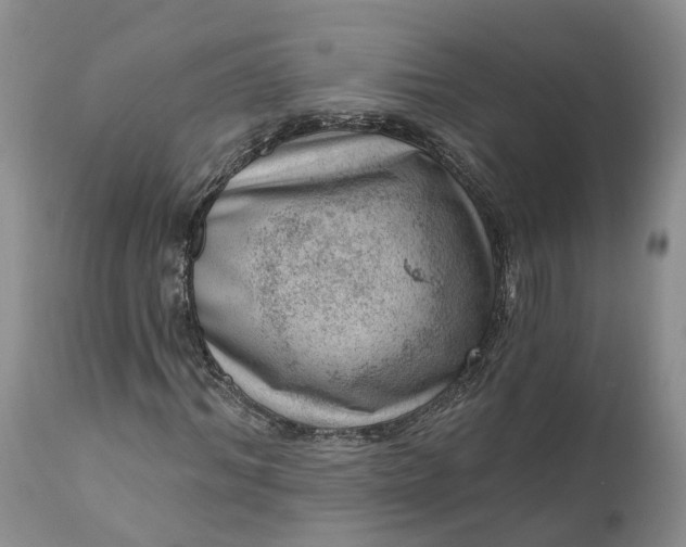 X0000111040964200907091605