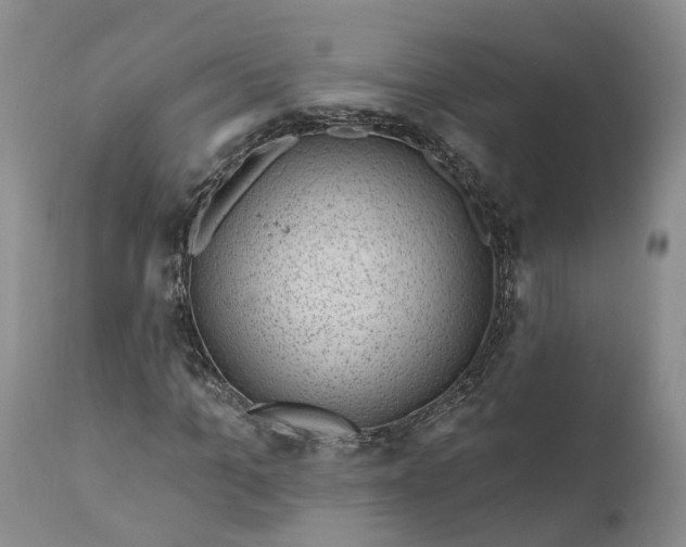 X0000111040965200907091605