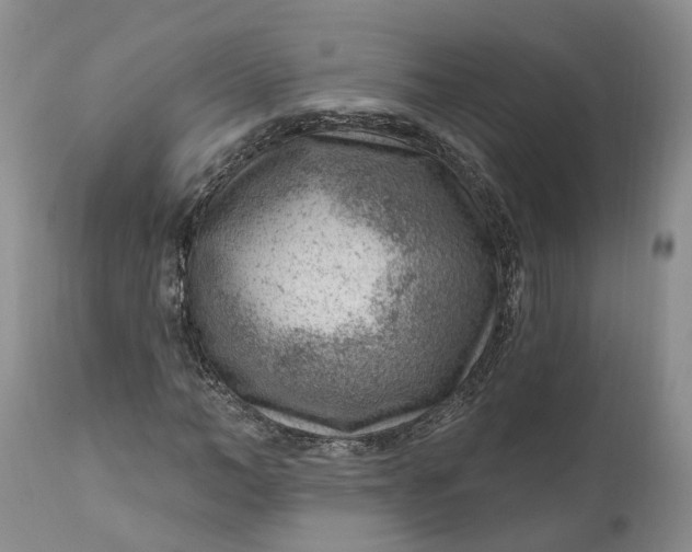 X0000111040966200907091605