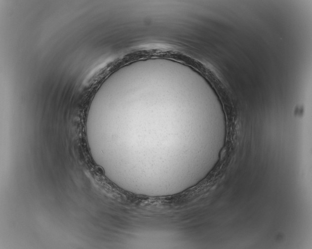 X0000111040967200907091605