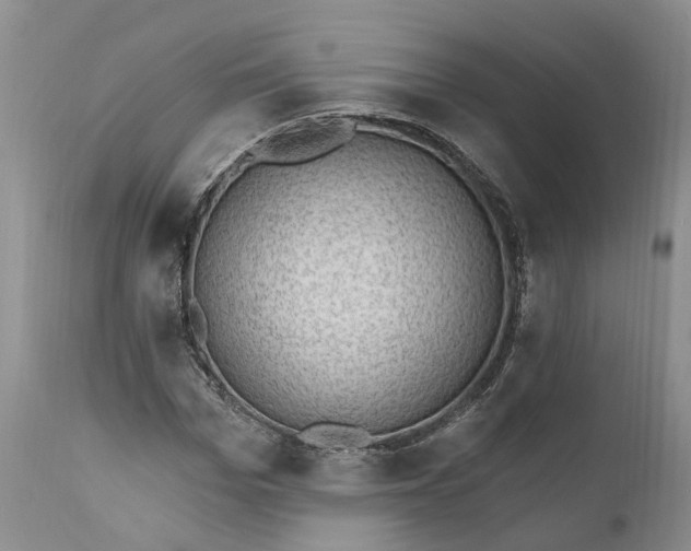 X0000111040969200907091605