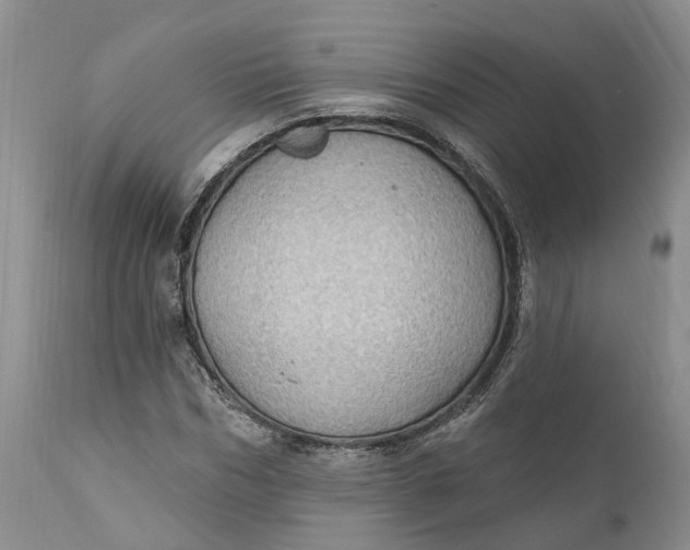 X0000111040970200907091605