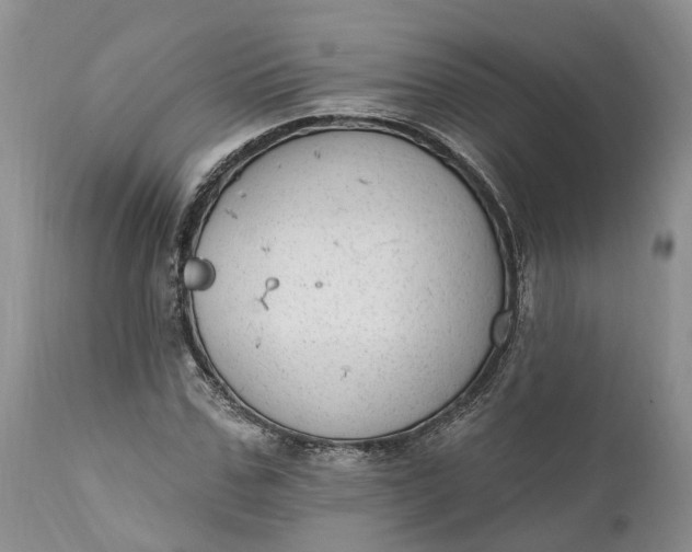 X0000111040971200907091605