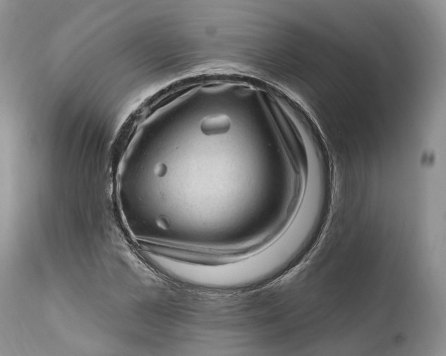 X0000111040973200907091605