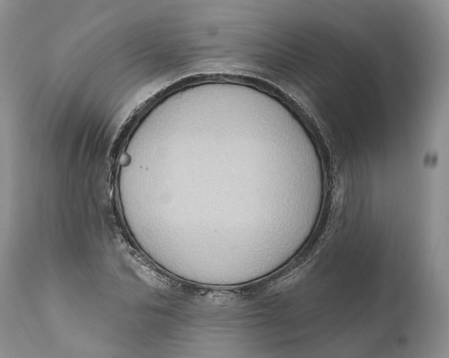 X0000111040974200907091605