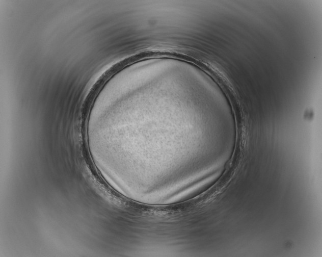 X0000111040976200907091605