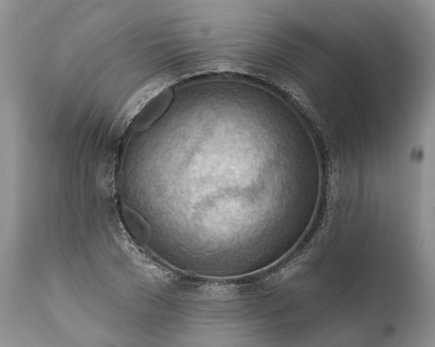 X0000111040977200907091605