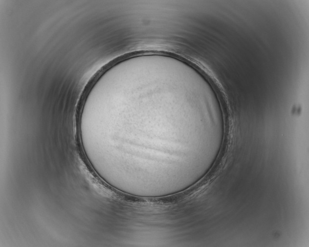 X0000111040980200907091605