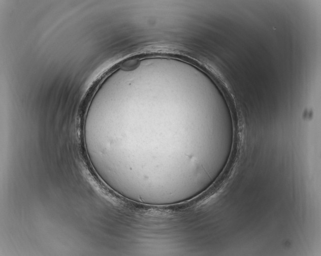 X0000111040981200907091605