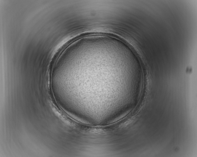 X0000111040982200907091605