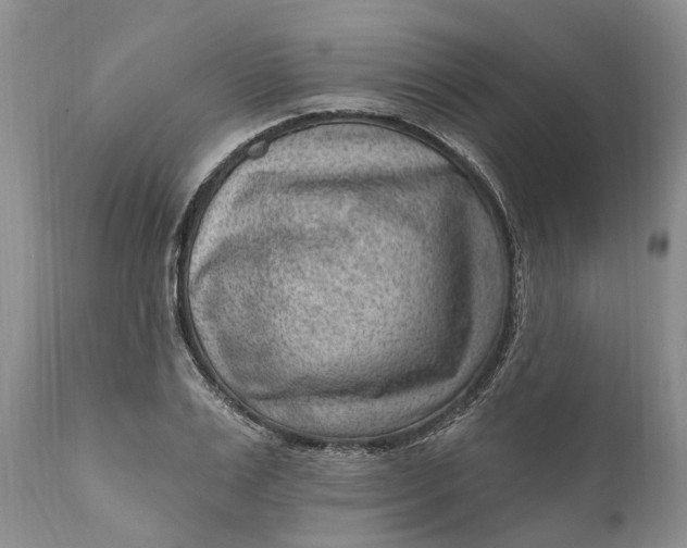 X0000111040983200907091605