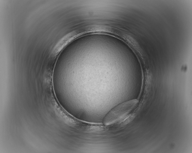 X0000111040985200907091605