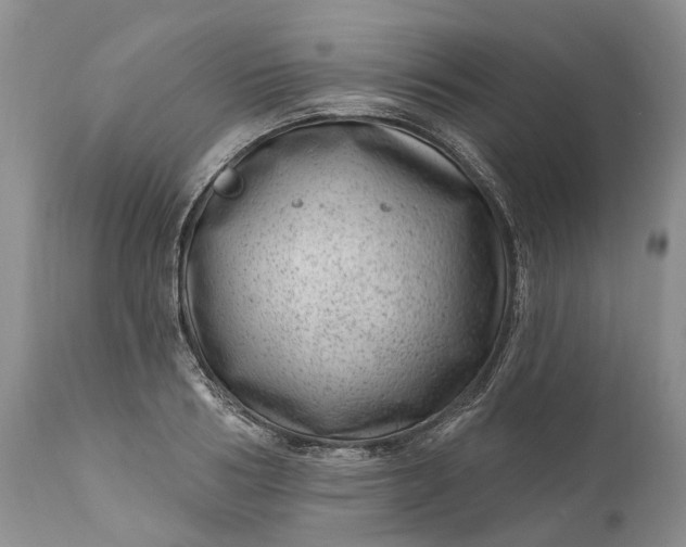 X0000111040986200907091605