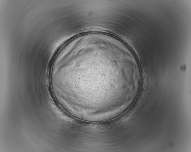 X0000111040987200907091605