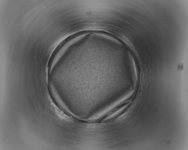 X0000111040988200907091605