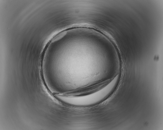 X0000111040989200907091605