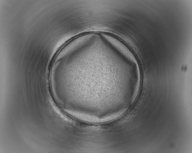 X0000111040990200907091605