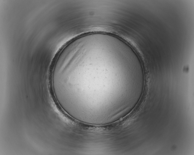 X0000111040991200907091605