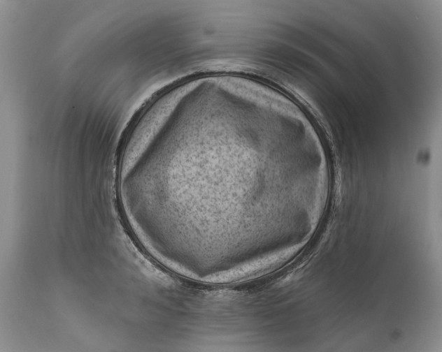 X0000111040992200907091605