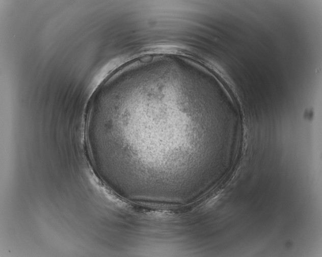 X0000111040994200907091605